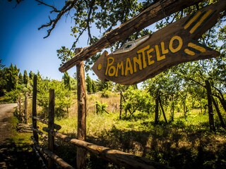 Appartamento per vacanze Torre Alfina Registrazione all'aperto 10