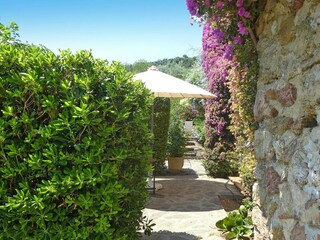 Ferienhaus Les Issambres Außenaufnahme 6