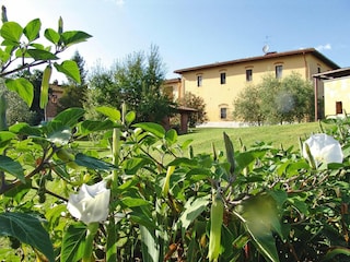Vakantiepark Vinci Buitenaudio-opname 3
