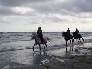 Holiday house Karlshagen Environment 20