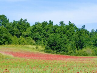 Vakantiehuis Saint-Cristol Omgeving 43