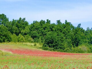 Vakantiehuis Saint-Cristol Buitenaudio-opname 9