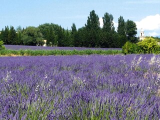 Casa per le vacanze Saint-Cristol Registrazione all'aperto 3