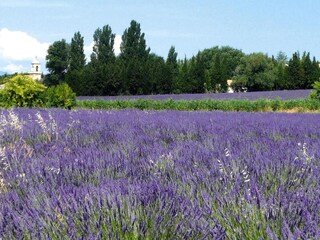 Ferienhaus Saint-Cristol Außenaufnahme 7