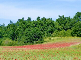 Maison de vacances Saint-Cristol Enregistrement extérieur 5
