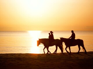 Reiten am Abend