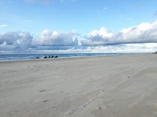 Holiday park Rødhus  22