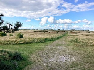 Parc de vacances Rødhus  19