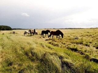 Parc de vacances Rødhus  27