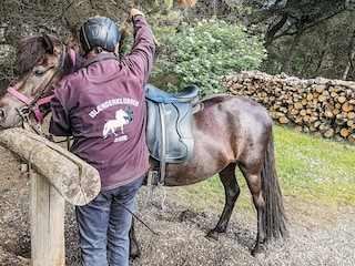 Ferienpark Rødhus Außenaufnahme 4