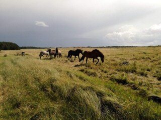 Parc de vacances Rødhus  23