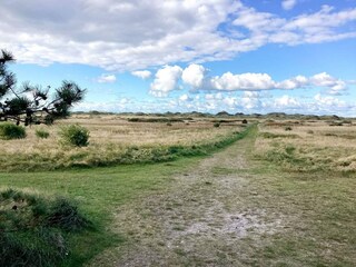 Parc de vacances Rødhus  53