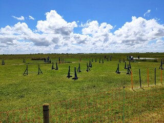 Vakantiehuis Neßmersiel Omgeving 18