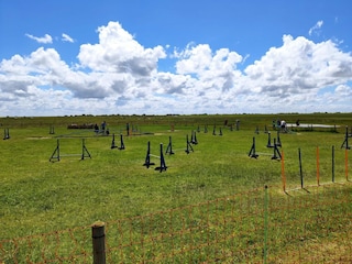 Vakantiehuis Neßmersiel Omgeving 19