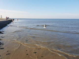 Vakantiehuis Neßmersiel Omgeving 20