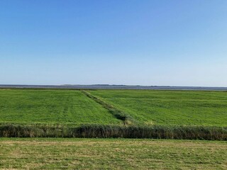 Vakantiehuis Dornumersiel Omgeving 17