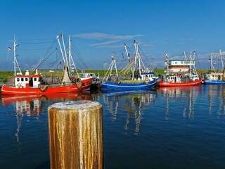 Maison de vacances Neßmersiel Environnement 18