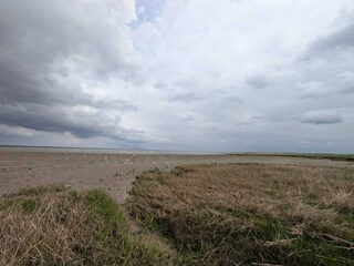 Maison de vacances Neßmersiel Environnement 13
