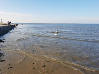 Ferienhaus Neßmersiel Umgebung 28