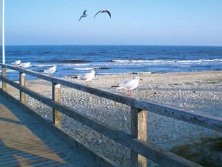 Bungalow Zinnowitz Environment 29