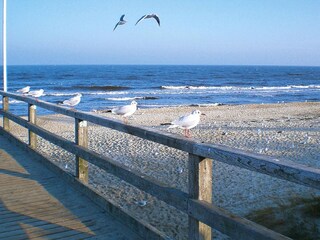 Bungalow Zinnowitz Ambiente 22