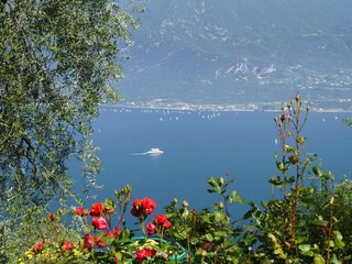Parco vacanze Limone sul Garda  28