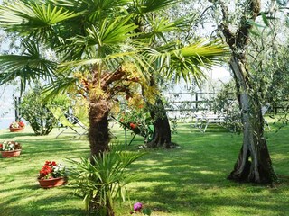 Parque de vacaciones Limone sul Garda Grabación al aire libre 2