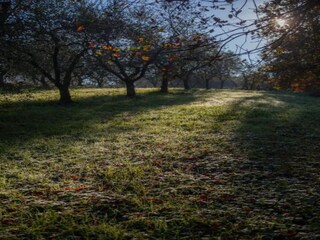 Vakantiehuis Lucca Omgeving 24