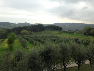 Vakantiehuis Lucca Omgeving 25