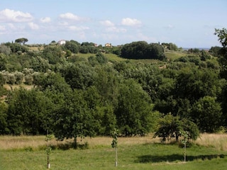 Vakantiehuis Lucca Omgeving 19