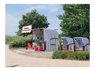Die Quarkeria in der Nähe der Inselblume 83