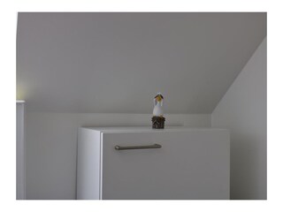 Ferienwohnung Meeschendorf  17