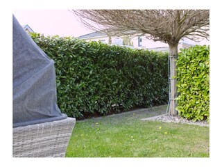 Ferienwohnung Burg auf Fehmarn  14