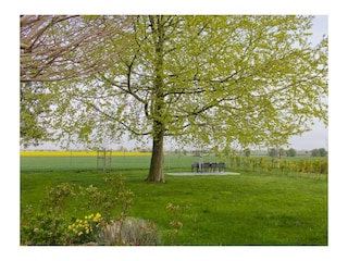 Ferienwohnung Burg auf Fehmarn  28