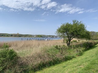 Vakantiehuis Ekenis Omgeving 33