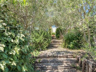 Villa Manciano Outdoor Recording 18