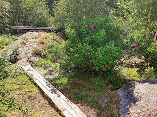Ferienhaus Ellös  11