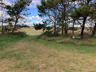 Parc de vacances Rødhus  20
