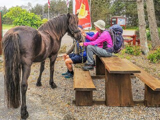 Parc de vacances Rødhus  18