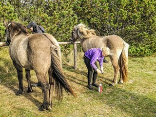 Ferienpark Rødhus  14