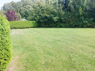 Vakantiehuis Dornumergrode Buitenaudio-opname 2
