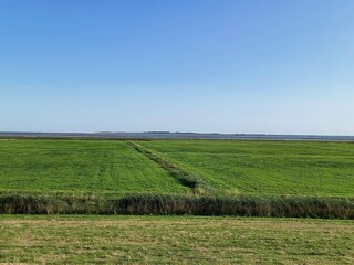 Vakantiehuis Dornumergrode Omgeving 17