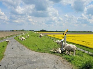 Vakantiehuis Dornumergrode Omgeving 24