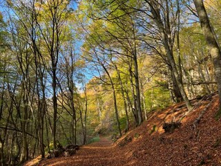 Parc de vacances Ernzen Environnement 14