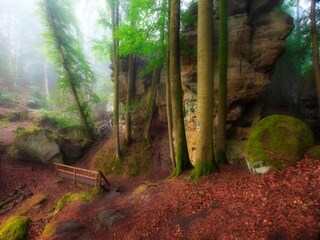 Parc de vacances Ernzen Environnement 17