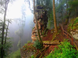 Parc de vacances Ernzen Environnement 27