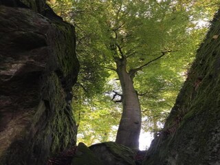 Vakantiepark Ernzen Omgeving 19