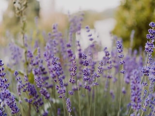 Ferienpark Ernzen Umgebung 34