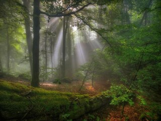 Holiday park Ernzen Environment 58