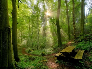 Ferienpark Ernzen Umgebung 37